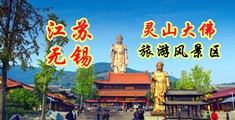 男女日b1000部江苏无锡灵山大佛旅游风景区